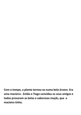 Com o tempo, a planta tornou-se numa bela árvore. Era
uma macieira . Então o Tiago convidou os seus amigos e
todos provaram as belas e saborosas maçãs, que a
macieira tinha.
 