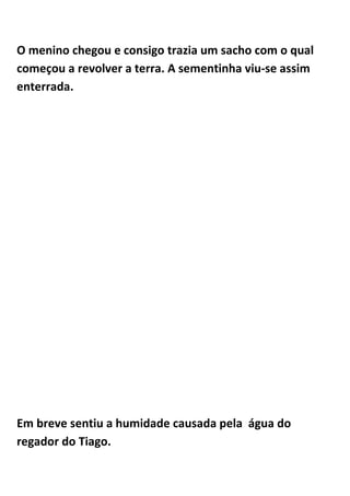 O menino chegou e consigo trazia um sacho com o qual
começou a revolver a terra. A sementinha viu-se assim
enterrada.




Em breve sentiu a humidade causada pela água do
regador do Tiago.
 