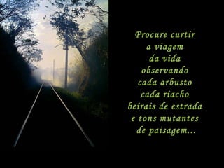 Procure curtir  a viagem  da vida  observando  cada arbusto  cada riacho  beirais de estrada  e tons mutantes  de paisagem... 