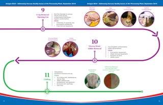 18
Aviagen Brief - Addressing Carcass Quality Issues at the Processing Plant, September 2016 Aviagen Brief - Addressing Carcass Quality Issues at the Processing Plant, September 2016
19
Bile
Contamination
Ingesta
Contamination
Machine
Damage
Viscera Draw/
Giblet Removal
Viscera/giblet contamination.
Giblet abnormalities.
Check:
•	 Evisceration equipment;
•	 Giblet removal equipment;
•	 Nutrition on farm;
•	 Health issues.
10
Fecal
Contamination
Viscera/Giblet
Contamination
Giblet
Abnormalities
Difference Between
Normal fillet (left)
Excessive Moisture (right)
Pick-up
Dehydrated
Carcass
Crop Removal/
Opening Cut
Machine damage to carcass.
Viscera and carcass
contamination-bile/feces.
Ingesta contamination.
Check:
•	 Uniformity of opening cuts,
evisceration equipment;
•	 Crop removal equipment.
9
Chilling
11
Dehydration.
Excessive moisture pick-up.
Check:
•	 Air chilling time, temperature,
and air flow;
•	 Water chilling time,
temperature, and agitation;
•	 Excessive skin openings;
•	 Drip time.
 