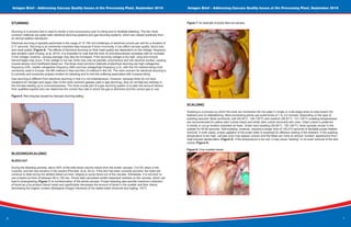 6
Aviagen Brief - Addressing Carcass Quality Issues at the Processing Plant, September 2016 Aviagen Brief - Addressing Carcass Quality Issues at the Processing Plant, September 2016
7
STUNNING
Stunning is a process that is used to render a bird unconscious prior to killing and to facilitate bleeding. The two most
common methods are water bath electrical stunning systems and gas stunning systems, which are viewed positively from
an animal welfare standpoint.
Electrical stunning is typically performed in the range of 12-150 mA (milliamps) of electrical current per bird for a duration of
2-11 seconds. Stunning is an extremely important step because if done incorrectly, it can affect carcass quality, blood loss,
and meat quality (Figure 6). The effects of electrical stunning on final meat quality are dependent on the voltage, frequency
and duration used (Huang, et.al, 2014). It is important to note that the time of unconsciousness increases with an increase
in the voltage; however, carcass damage may also be increased. If the stunning voltage is too high, wing and muscle
hemorrhages may occur. If the voltage is too low, birds may only be partially unconscious and can become excited, causing
muscle tension and insufficient bleed out. The three most common methods of electrical stunning are high-voltage/low
frequency (HS), middle voltage/low frequency (MS) and low voltage/high frequency (LS), with the HS method being most
commonly used in Europe, the MS method in Asia and the LS method in the US. The main concern for electrical stunning is
to correctly and humanely prepare broilers for bleeding and to limit the suffering associated with humane killing.
Gas stunning is different from electrical stunning in that it is not instantaneous. However, because birds do not have
receptors for nitrogen and argon (two of the most common gasses used in gas stunning), they do not feel any distress in
the minutes leading up to unconsciousness. The most crucial part of a gas stunning system is to take into account advice
from qualified experts who can determine the correct flow rate in which the gas is delivered and the correct gas to use.
Figure 6: Red wing tips caused by improper stunning setting.
BLEEDING/SCALDING
BLEED-OUT
During the bleeding process, about 40% of the total blood volume drains from the broiler carcass, 3 to 5% stays in the
muscles, and the rest remains in the viscera (Plumber, et.al, 2012). If the bird has been correctly stunned, the heart will
continue to beat during the allotted bleed-out time, helping to pump blood out of the carcass. Worldwide, it is common to
use a bleed-out time of between 90 to 150 sec. Poorly bled carcasses exhibit dispersed redness on the carcass, which can
lead to downgrading (Figure 7) or condemnation of the whole carcass. Proper bleeding also permits maximum collection
of blood as a by-product (blood meal) and significantly decreases the amount of blood in the scalder and floor drains,
decreasing the organic content (Biological Oxygen Demand) of the waste-water (Kuenzel and Ingling, 1977).
Figure 7: An example of poorly bled-out carcass.
SCALDING
Scalding is a process by which the birds are immersed into hot water in single or multi-stage tanks to help loosen the
feathers prior to defeathering. Most processing plants use scald times of 1 to 3.5 minutes, depending on the type of
scalding required. Most commonly, soft (52-54°C, 125-130°F) and medium (55-57°C, 131-135°F) scalding temperatures
are recommended for yellow (skin cuticle intact) and white (skin cuticle removed) skin color. Intact cuticle is preferred
in whole or cut-up broilers marketed as fresh. Under hard-scalding (54-60°C, 130-140°F), birds typically remain in the
scalder for 45-90 seconds. Soft-scalding, however, requires a longer time of 120-210 seconds to facilitate proper feather
removal. In both cases, proper agitation of the scald water is essential for effective wetting of the feathers. If the scalding
temperature is too high, carcass color may appear uneven and the fillets can have an almost “cooked” appearance from
heat induced denaturation (Figure 8). If the temperature is too low, it may cause “barking” or un-even removal of the skin
cuticle (Figure 9).
Figure 8: Over-scalded breast.
 