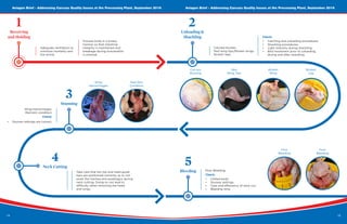 14
Aviagen Brief - Addressing Carcass Quality Issues at the Processing Plant, September 2016 Aviagen Brief - Addressing Carcass Quality Issues at the Processing Plant, September 2016
15
Red Skin
Condition
Carcass
Bruising
Adequate ventilation to
minimize mortality and
live shrink.
Process birds in a timely
manner so that intestinal
integrity is maintained and
breakage during evisceration
is minimal.
Receiving
and Holding
Unloading &
Shackling
Carcass bruises.
Red wing tips/Broken wings.
Broken legs.
Check:
•	 Catching and unloading procedures;
•	 Shackling procedures;
•	 Light intensity during shackling;
•	 Bird movement prior to unloading,
during and after shackling.
Stunning
Wing hemorrhages.
Red skin condition.
Check:
•	 Stunner settings are correct.
Neck Cutting
Take care that the toe and head guide
bars are positioned correctly as to not
sever the trachea and esophagus during
neck cutting. Doing so can lead to
difficulty when removing the head
and lungs.
Bleeding Poor Bleeding.
Check:
•	 Chilled birds;
•	 Stunner settings;
•	 Type and effeciency of neck cut;
•	 Bleeding time.
1 2
3
4 5
Red
Wing Tips
Broken
Wing
Wing
Hemorrhages
Broken
Leg
Poor
Bleeding
Poor
Bleeding
 