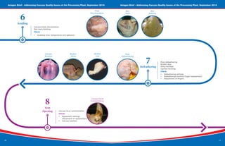 16
Aviagen Brief - Addressing Carcass Quality Issues at the Processing Plant, September 2016 Aviagen Brief - Addressing Carcass Quality Issues at the Processing Plant, September 2016
17
Broken
Wing
Broken
Leg
Poor
Defeathering
Defeathering
Poor defeathering.
Broken legs.
Wing damage.
Carcass bruising.
Check:
•	 Defeathering settings,
•	 Defeathering machine finger replacement;
•	 Adjustment of fingers.
7
Vent
Opening Carcass fecal contamination.
Check:
•	 Equipment settings,
adjustment or replacement,
•	 Carcass washers.
8
Carcass
Brusing
Carcass Fecal
Contamination
Scalding
Carcass/meat discoloration.
Skin tears/barking.
Check:
•	 Scalding time, temperature and agitation.
6
Meat
Discolouration
Skin
Tears
Skin
Barking
 