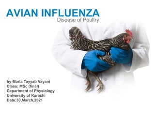 AVIAN INFLUENZA
Disease of Poultry
by-Maria Tayyab Vayani
Class: MSc (final)
Department of Physiology
University of Karachi
Date:30,March,2021
 