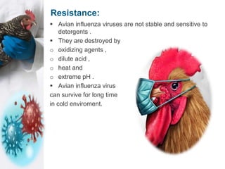 Photo inspiration: Avian Sensitive Crops Managing Reference: Avian Fluenza Virus