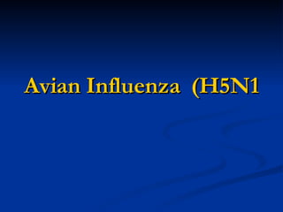 Avian Influenza  (H5N1) 