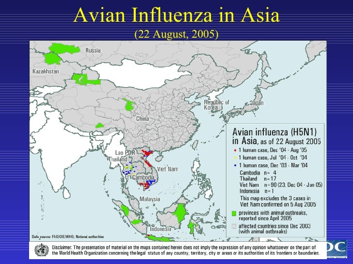 Avian Influenza Update