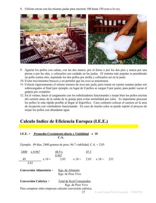 Avian Farms Pollo Engorde – WB059927
8. Utilizar cercas con las mismas jaulas para encerrar 100 hasta 150 aves a la vez.
9. Agarrar los pollos con calma, con las dos manos, por el dorso o por los dos pies y nunca por una
pierna o por las alas, y colocarlos con cuidado en las jaulas. El sistema más popular es prendiendo
un pollo contra otro, sujetando los dos pollos por arriba y colocarlos asi en la jaula.
10. Evitar movimientos bruscos y no permitir que las aves se amontonen.
11. Colocar rigurosamento el mismo numero de aves por jaula, pero tomar en cuenta cuantas jaulas son
sobrecargados al final (por ejemplo, en lugar de 8 pollos se cargan 9 por jaula), para poder vaciar el
galpon por completo.
12. En el verano, hacer el cargamento con los nebulizadores funcionando y mojar bien los pollos encima
del camión antes de la salida de la granja para evitar mortalidad por calor. Es importante procesar
los pollos lo más rápido posible al llegar al frigorífico. Caso contrario colocar el camion en la area
de recepción con ventiladores funcionando. En caso de mucho calor se puede repetir el proceso de
mojar los pollos con abundante agua.
Calculo Indice de Eficiencia Europea (I.E.E.)
I.E.E. = Promedio Crecimiento diario x Viabilidad x 10
C.A.
Ejemplo: 49 días, 2400 gramos de peso, 96.7 viabilidad, C.A. = 2.03
2400 x 0.967 48.9 x
0.967
47.3
49 x 10 = 2.03 x 10 = 2.03 x 10 = 233
2.03
Conversión Alimenticia = Kgs. de Alimento
Kgs. de Peso Vivo
Conversión Calórica = Total de Kcal Consumidos
Kgs. de Peso Vivo
Para comparar entre empresas calcular conversión calórica.
 