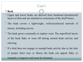 Avian Anatomy Ppt.pptxfasgdg namaste namaste | PPTX