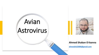 Ahmed Shaban El-banna
ahmedsh22006@gmail.com
Avian
Astrovirus
 