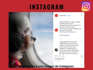INSTAGRAM
Reacciones a una imagen de Instagram:
 