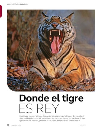 98 Junio 2013Avianca en revista
VIAJES TRAVEL / India India
En el lugar menos habitado de uno de los países más habitados del mundo, el
tigre de bengala lucha por sobrevivir. En toda India quedan poco más de 1.500
ejemplares en libertad, y esta es la sinuosa ruta que lleva a su encuentro.
Donde el tigre
ES REY
 