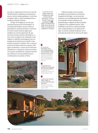 100 Junio 2013Avianca en revista
VIAJES TRAVEL / India India
CUENTA ATRÁS
Según datos de
la National Tiger
Conservation
Authority, a marzo
de 2011 tan solo
quedaban 1.706
tigres en libertad en
todo el territorio de
India, la mitad de la
población mundial.
por allí, en algún punto de los poco más de
100 kilómetros cuadrados que componen la
reserva, entre la maleza jadeando, o en la cima
de alguna colina, o quizá mordisqueando un
animal ya reducido a huesos.
El tigre de bengala es uno de esos
dolorosos fracasos de la humanidad. La
avanzada del hombre con sus cultivos y
ganaderías le arrebató territorio y alimento,
y ha sido cazado durante siglos para
satisfacer la creencia ignorante de que
sus huesos tienen poderes afrodisíacos, o
bien por la arrogancia de maharajás, lores
ingleses y mafiosos extravagantes que los
persiguen por deporte para exhibir como
trofeos sus pieles y cabezas. Hoy, en todo el
territorio de India sobreviven apenas 1.706
tigres en libertad y, a pesar de los esfuerzos
del gobierno y de grupos conservacionistas,
aún operan cuadrillas de cazadores furtivos
que diezman la escasa población para
contrabandear sus presas a China.
India ha tomado como un asunto
de orgullo nacional detener la inminente
desaparición del tigre, con acciones tan
drásticas como proteger grandes extensiones
de su hábitat e incluso autorizar a los
guardabosques –algunos de ellos armados–
a disparar a los cazadores furtivos. Amit
Sankhala es uno de los conservacionistas
más comprometidos con la defensa del
tigre. Su abuelo, Kailash Sankhala, fue el
principal promotor de las reservas de tigres
En uno de los
abrevaderos de la
reserva Bandhavgarh,
una manada de cerdos
salvajes calma su sed.
A group of wild pigs
quench their thirst at
one of the watering
holes in Bandhavgarh
Reserve.
Un ejemplo de la
arquitectura tradicional
de la zona de Jabalpur.
An example of
traditional architecture
in the Jabalpur area.
La piscina del Samode
Safari Lodge, un
escenario perfecto para
descansar.
The pool at Samode
Safari Lodge, a perfect
spot to relax.
1
1
2
3
2
3
Foto:cortesíaHotelSamodeFoto:cortesíaHotelSamode
 