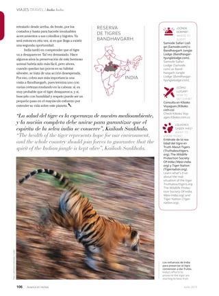 106 Junio 2013Avianca en revista
VIAJES TRAVEL / India India
RESERVA
DE TIGRES
BANDHAVGARH
retratarlo desde arriba, de frente, por los
costados y hasta para hacerle invaluables
acercamientos a sus colmillos y bigotes. Ya
será entonces otra vez, si es que llega a existir
una segunda oportunidad.
India tardó en comprender que el tigre
va a desaparecer. Tal vez demasiado. Hace
algunos años la preservación de este hermoso
animal habría sido más fácil, pero ahora,
cuando quedan tan pocos en su hábitat
silvestre, se trata de una acción desesperada.
Por eso, cobra aun más importancia una
visita a Bandhavgarh, pues termina uno con
varias certezas rondando en la cabeza: sí, es
muy probable que el tigre desaparezca; y sí,
buscarlo con humildad y respeto puede ser un
pequeño paso en el mayúsculo esfuerzo por
extender su vida sobre este planeta.
Los esfuerzos de India
para preservar el tigre
comienzan a dar frutos.
India’s efforts to
preserve the tiger are
starting to bear fruit.
“La salud del tigre es la esperanza de nuestro medioambiente,
y la nación completa debe unirse para garantizar que el
espíritu de la selva india se conserve”, Kailash Sankhala.
“The health of the tiger represents hope for our environment,
and the whole country should join forces to guarantee that the
spirit of the Indian jungle is kept alive”, Kailash Sankhala.
¿DÓNDE
DORMIR?
WHERE TO
SLEEP?
Samode Safari Lod-
ge (Samode.com) o
Bandhavgarh Jungle
Lodge (Bandhavgar-
hjunglelodge.com).
Samode Safari
Lodge (Samode.
com) or Band-
havgarh Jungle
Lodge (Bandhavgar-
hjunglelodge.com).
¿CÓMO
LLEGAR?
HOW TO
GET THERE?
Consulta en Kiboko
Voyagues (Kiboko.
com.co).
Check Kiboko Voy-
ages Kiboko.com.co
¿QUIERES
SABER MÁS?
WANT TO
KNOW MORE?
Entérate de la rea-
lidad del tigre en
Truth About Tigers
(Truthabouttigers.
org), The Wildlife
Protection Society
Of India (Wpsi-india.
org) y Tiger Nation
(Tigernation.org).
Learn what’s true
about the real
situation of the tiger
Truthabouttigers.org
The Wildlife Protec-
tion Society Of India
Wpsi-india.org) and
Tiger Nation (Tiger-
nation.org).
Foto:LatinstockColombia/Corbis
INDIA
 