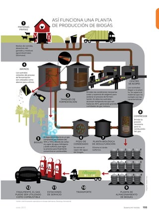 Junio 2013 Avianca en revista 193
ASÍ FUNCIONA UNA PLANTANTANT
DE PRODUCCIÓN DE BIOGÁSMATERIAS
PRIMAS
1
2
3
4
65 7
8
9101112
Restos de comida,
desechos del
ganado y residuos
agroindustriales
(biomasa).
Los sustratos
llegan a la plan-
ta. Se separa el
material que no
cumple con las
características.
CENTRO
DE ACOPIO
TANQUES DETANQUES DET
FERMENTACIÓN
ABONOS
El segundo producto es un gasl segundo producto es un gasl segundo producto es un gasl segundo producto es un gasl segundo producto es un gas
compuesto por metano (decompuesto por metano (de
50% a 70%),dióxido de carbo50% a 70%),dióxido de carbo-
no,vapor de agua,hidrógeno
y ácido sulfúrico,que sigue
su proceso para finalmente
convertirse en combustible.
POZO DE
CONDESADO
BIOGÁS
Se extrae el
vapor del agua
del biogás.
PLANTA BIOLÓGICA
DE DESULFURACIÓN
Elimina el ácido
sulfúrico.
COMPRESOR
Brinda la
presión
necesaria
para la
combustión
del gas.
PLANTA DE
ALMACENAMIENTO
DE BIOGÁS
TRANSPORTEESTACIONES
DE SERVICIO
FINALMENTE, EL GAS
PUEDE SER UTILIZADO
COMO COMBUSTIBLE
Fuente: Jurek Krzyzwoski, especialista en energías alternativas, Bioenergy International.
Brindan las condiciones necesarias
(calor y ausencia de oxígeno) para
acelerar el proceso de fermen-
tación. En ellos los sustratos
alcanzan temperaturas que van
hasta los 40°C, generando grandes
cantidades de gas metano.
Los sustratos
restantes del proceso
de fermentación
son utilizados como
abonos para cultivos.
Infografía:GalateaMiau
 