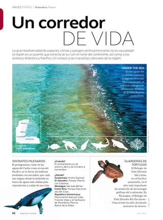 Junio 2013
VIAJES TRAVEL / Naturaleza Nature
La gran biodiversidad de especies, climas y paisajes centroamericanos no es casualidad:
la región es un puente que conecta al sur con el norte del continente, así como a los
océanos Atlántico y Pacífico. Un vistazo a las maravillas naturales de la región.
Un corredor
DE VIDA
UNDER THE SEA
En las aguas del
Caribe se conforma
el Sistema Arrecifal
Mesoamericano, el
segundo más grande
del mundo, después
de la Gran Barrera
australiana.
MéxicoMéxico
GutemalaGutemalaGutemala
Belice
Honduras
UBICACIÓN
Longitud:
1.000 kilómetros
ESPECIES
VISITANTES MILENARIOS
El protagonismo, tanto en las
aguas del Caribe como en las del
Pacífico, se lo llevan las ballenas
jorobadas con sus saltos, que cada
año migran desde la Antártida en
busca de aguas más cálidas para
reproducirse y cuidar de sus crías.
¿Cuándo?
El avistamiento es de
enero a abril y de octubre a
noviembre.
¿Dónde?
Guatemala: Punta Quetzal.
El Salvador: Parque Marino
os Cobanos.
icaragua: San Juan del Sur.
Costa Rica: Parque Nacional
isla del Coco.
epública Dominicana:
Monumento Natural Cabo
Francés Viejo y el Santuario
de Mamíferos Marino
Banco de la Plata.
UARDERÍAS DE
TORTUGAS
El Refugio de
Vida Silvestre
Isla Cañas,
en el Pacífico
panameño, es el
sitio más importante
de anidación de las tortugas
golfinas del continente. En
Nicaragua, el Refugio de
Vida Silvestre Río Escalante -
Chacocente ha sido declarado
santuario de desove.
Foto:LatinstockColombia/CorbisatinstockColombia/CorbisFotos:123RF
GU
enero a abril y de octubre a
El Refugio de
Vida Silvestre
Isla Cañas,
en el Pacífico
panameño, es el
sitio más importante
de anidación de las tortugas
golfinas del continente. En
Nicaragua, el Refugio de
Vida Silvestre Río Escalante -
Chacocente ha sido declarado
santuario de desove.
60 Avianca en revista
busca de aguas más cálidas para
reproducirse y cuidar de sus crías.
E
Los
Nicaragua:
Costa
isla del
República
Monumento
Francés Viejo y el
de Mamíferos Marino
Banco de la
 