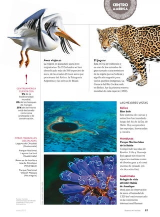 Junio 2013 Avianca en revista 61
!CENTROAMÉRICA
CUENTA CON
9% de la
biodiversidad
mundial.
8% de los bosques
de mangle.
25% del territorio
está declarado
como área
protegida o de
conservación.
El jaguar
Está en vía de extinción y
es uno de los animales de
gran tamaño característicos
de la región por su belleza y
significado sagrado para
varios pueblos indígenas. La
Cuenca del Río Cockscomb,
en Belice, fue la primera reserva
mundial de esta especie (1990).
Aves viajeras
La región es pasadizo para aves
migratorias. En El Salvador se han
identificado más de 560 especies de
aves, de las cuales 214 son aves que
provienen del Ártico, la Patagonia
Argentina y las selvas de Brasil.
OTRAS MARAVILLAS
DESTACADAS
Laguna de Chicabal
(Guatemala)
Parque Nacional
Laguna Lachuá
(Guatemala)
Reserva de biosfera
isla de Ometepe
(Nicaragua)
Parque Nacional
Volcán Masaya
(Nicaragua)
LAS MEJORES VISTAS
Belice
Blue hole
Este sistema de cuevas y
estrechos fue inundado
luego del fin de la Era de
Hielo. Hoy sorprenden
las esponjas, barracudas
y corales.
Honduras
Parque Marino Islas
de la Bahía
Comprende las islas de
Roatán, Utila y Guanaja.
Sus aguas son ricas en
especies marinas como
el tiburón gata y el coral
cuerno de venado (en
vía de extinción).
Guatemala
Refugio de vida
silvestre Bahía
de Amatique
Ideal para la observación
de aves, el humedal de
1.329 km2
está enmarcado
en la convención
internacional Ramsar.
Fotos:123RF
Fuentes: Comisión
Centroamericana de Ambiente
y Desarrollo (CCAD) y Visit
Centroamérica.
Aves viajeras
La región es pasadizo para avesLa región es pasadizo para aves
migratorias. En El Salvador se hanmigratorias. En El Salvador se han
identificado más de 560 especies deidentificado más de 560 especies de
aves, de las cuales 214 son aves queaves, de las cuales 214 son aves que
provienen del Ártico, la Patagonia
Argentina y las selvas de Brasil.
Fotos:LatinstockColombia/Corbis
 