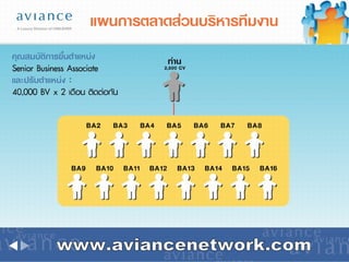 www.aviancenetwork.com 