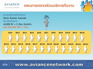 www.aviancenetwork.com 