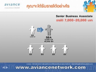www.aviancenetwork.com 