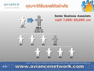 www.aviancenetwork.com 