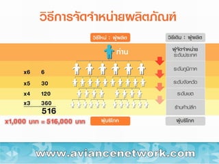 www.aviancenetwork.com 