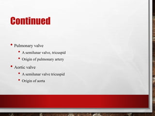 Continued
• Pulmonary valve
• A semilunar valve, tricuspid
• Origin of pulmonary artery
• Aortic valve
• A semilunar valve tricuspid
• Origin of aorta
 
