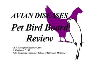 Avian diseases pet bird board review