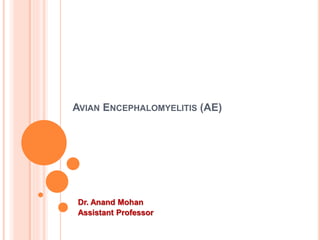 AVIAN ENCEPHALOMYELITIS (AE)
Dr. Anand Mohan
Assistant Professor
 