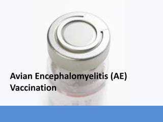 Avian Encephalomyelitis (AE)
Vaccination
 