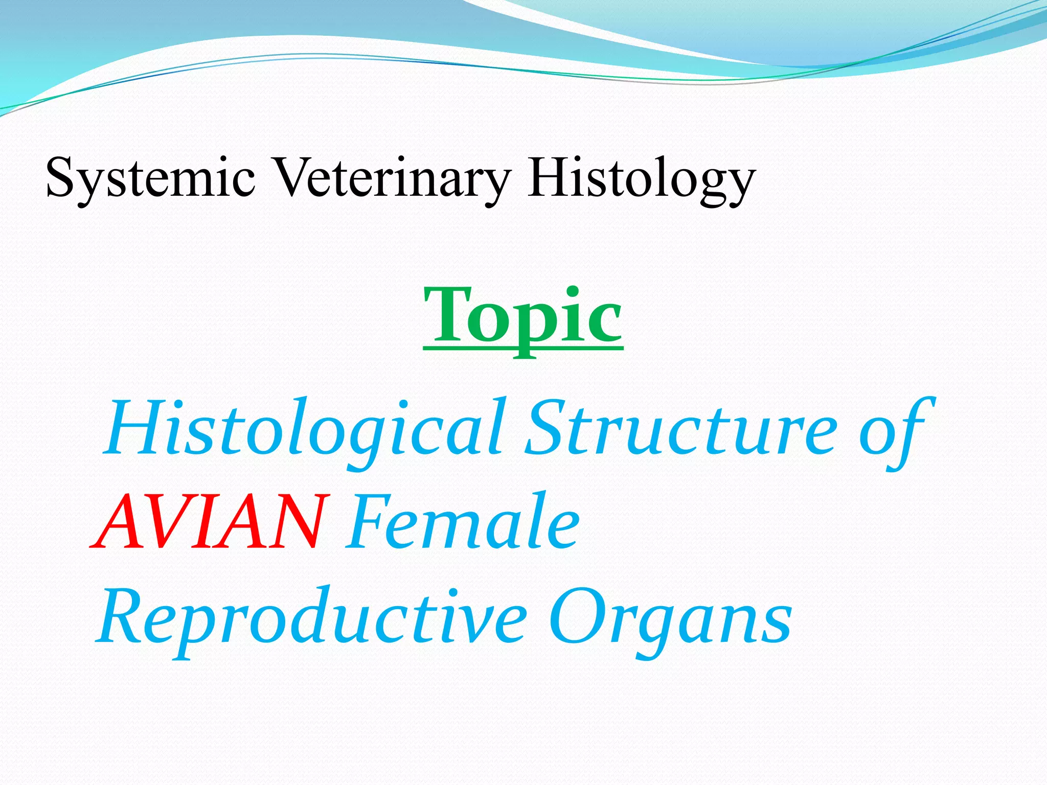 Period Or Not?  The Avian Reproductive System Explained - 8tepccv