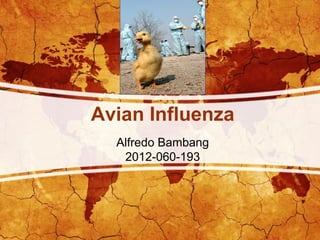 Avian Influenza
Alfredo Bambang
2012-060-193

 