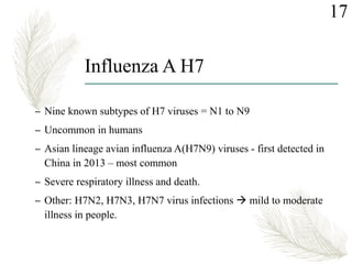 Influenza A H7
– Nine known subtypes of H7 viruses = N1 to N9
– Uncommon in humans
– Asian lineage avian influenza A(H7N9) viruses - first detected in
China in 2013 – most common
– Severe respiratory illness and death.
– Other: H7N2, H7N3, H7N7 virus infections  mild to moderate
illness in people.
17
 