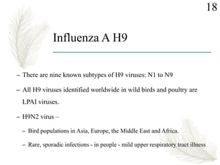 Influenza A H9
– There are nine known subtypes of H9 viruses: N1 to N9
– All H9 viruses identified worldwide in wild birds and poultry are
LPAI viruses.
– H9N2 virus –
– Bird populations in Asia, Europe, the Middle East and Africa.
– Rare, sporadic infections - in people - mild upper respiratory tract illness
18
 