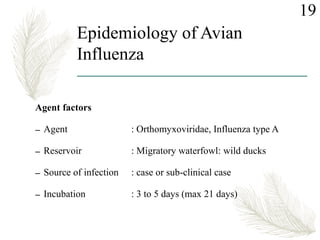 Epidemiology of Avian
Influenza
Agent factors
– Agent : Orthomyxoviridae, Influenza type A
– Reservoir : Migratory waterfowl: wild ducks
– Source of infection : case or sub-clinical case
– Incubation : 3 to 5 days (max 21 days)
19
 