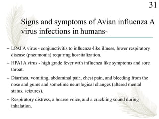 Signs and symptoms of Avian influenza A
virus infections in humans-
– LPAI A virus - conjunctivitis to influenza-like illness, lower respiratory
disease (pneumonia) requiring hospitalization.
– HPAI A virus - high grade fever with influenza like symptoms and sore
throat.
– Diarrhea, vomiting, abdominal pain, chest pain, and bleeding from the
nose and gums and sometime neurological changes (altered mental
status, seizures).
– Respiratory distress, a hoarse voice, and a crackling sound during
inhalation.
31
 