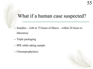 What if a human case suspected?
– Samples – with in 72 hours of illness – within 24 hours to
laboratory
– Triple packaging
– PPE while taking sample
– Chemoprophylaxis
55
 