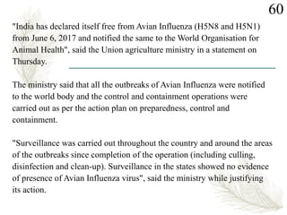 "India has declared itself free from Avian Influenza (H5N8 and H5N1)
from June 6, 2017 and notified the same to the World Organisation for
Animal Health", said the Union agriculture ministry in a statement on
Thursday.
The ministry said that all the outbreaks of Avian Influenza were notified
to the world body and the control and containment operations were
carried out as per the action plan on preparedness, control and
containment.
"Surveillance was carried out throughout the country and around the areas
of the outbreaks since completion of the operation (including culling,
disinfection and clean-up). Surveillance in the states showed no evidence
of presence of Avian Influenza virus", said the ministry while justifying
its action.
60
 