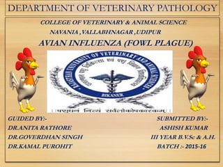 DEPARTMENT OF VETERINARY PATHOLOGY
COLLEGE OF VETERINARY & ANIMAL SCIENCE
NAVANIA ,VALLABHNAGAR ,UDIPUR
AVIAN INFLUENZA (FOWL PLAGUE)
GUIDED BY:- SUBMITTED BY:-
DR.ANITA RATHORE ASHISH KUMAR
DR.GOVERDHAN SINGH III YEAR B.V.Sc & A.H.
DR.KAMAL PUROHIT BATCH :- 2015-16
 