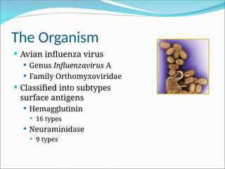 Veterinary preventive medicine AvianInfluenza.ppt