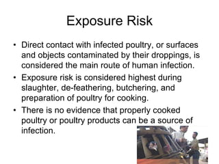 Health monitoring.
Those at risk of occupational
exposure should:
• 1. Be aware of the early clinical signs of H5N1
infect...