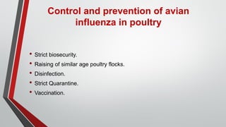 Avian influenza disease in poultry | PDF