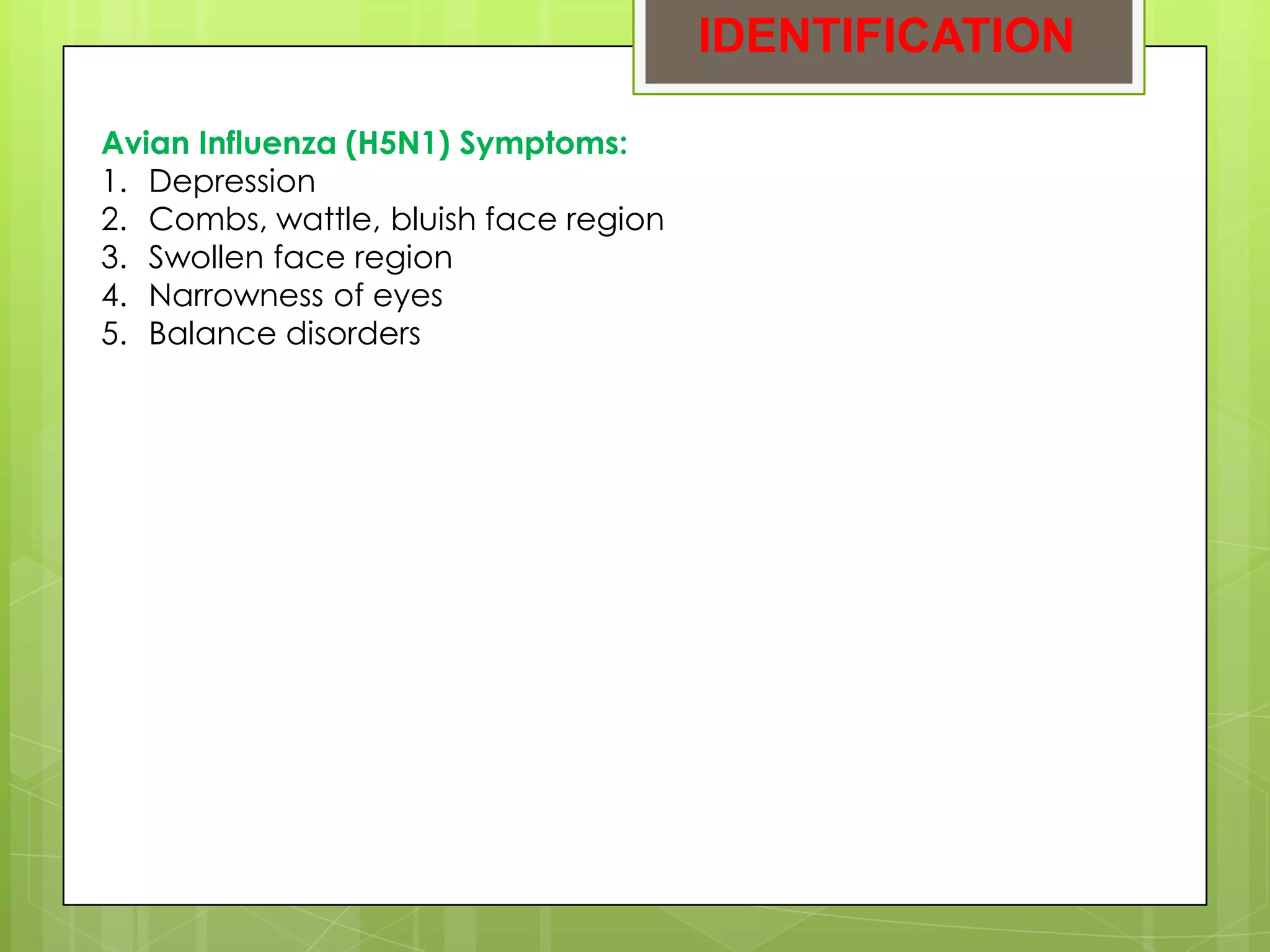 IDENTIFICATION

Avian Influenza (H5N1) Symptoms:
1. Depression
2. Combs, wattle, bluish face region
3. Swollen face region
4. Narrowness of eyes
5. Balance disorders
 
