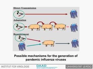 Avian influenza virus and transmission | PPTX
