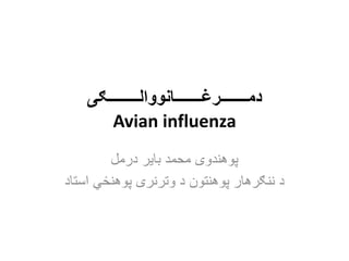 ‫دمـــــــرغـــــــانووالــــــــګى‬
Avian influenza
‫درمل‬ ‫باير‬ ‫محمد‬ ‫پوهندوی‬
‫استاد‬ ‫پوهنځي‬ ‫وترنری‬ ‫د‬ ‫پوهنتون‬ ‫ننګرهار‬ ‫د‬
 