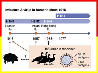 Flu Serotypes Avian influenza | PPTX