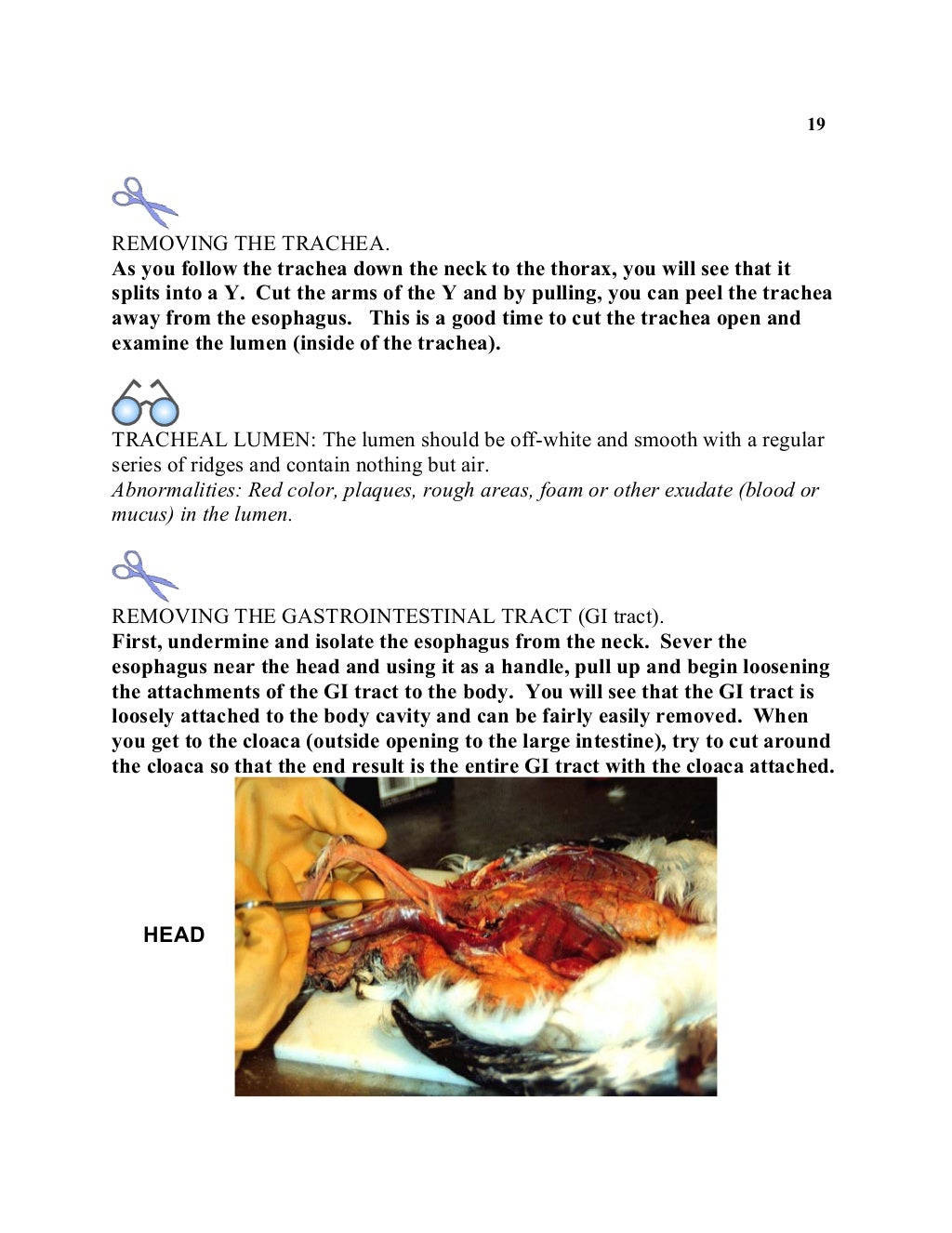 Avian necropsy manual for biologists in remote refuges