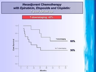 60% 36% T-downstaging: 42%  Neoadjuvant Chemotherapy  with Epirubicin, Etoposide and Cisplatin:  7-year follow-up  