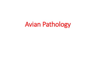 Avian Pathology
 