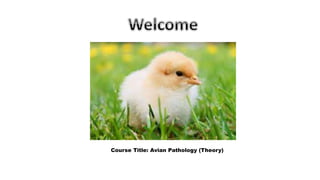 Course Title: Avian Pathology (Theory)
 